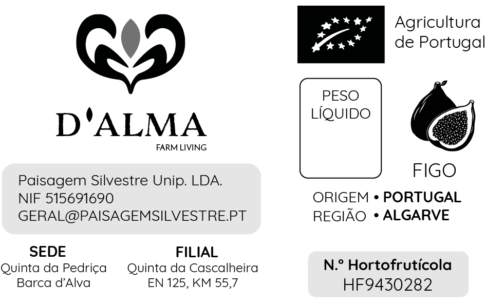 Identificação rápida, informação organizada